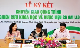 Chuyển giao thành công đề tài nghiên cứu cấp nhà nước về thảo dược hỗ trợ điều trị viêm gan virus