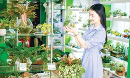 Giới trẻ thích thú với thú chơi mới.