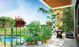 Ban công xanh cho gia đình những giây phút thư giãn, hòa cùng thiên nhiên.