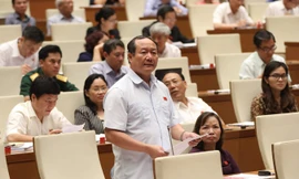 Đại biểu Bùi Mậu Quân (Hải Dương). Ảnh: Như Ý.