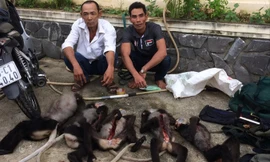 Hai đối tượng Tuấn và Chương bị bắt ngày 30/11.