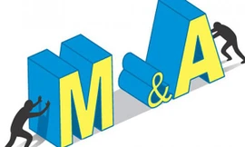 M&A và 'hạt sạn'