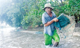 Ông Lệnh đi săn bạch buộc trong rừng ngập mặn Cần Giờ. Ảnh: Ngô Bình.