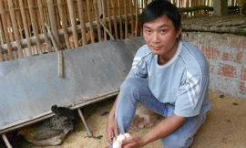 Ông chủ cơ sở gà giống Nguyễn Văn Trí.