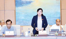 Trưởng ban Dân nguyện Nguyễn Thanh Hải.