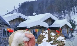 Phẫn nộ vì khu du lịch tạo tuyết bằng bông trộn xà phòng