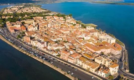 Ruồi đen ồ ạt tấn công, xâm chiếm thị trấn du lịch nổi tiếng 