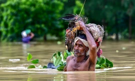 Những kỷ lục tồi tệ gây chấn động vì biến đổi khí hậu 