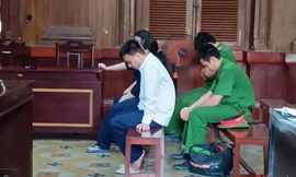 2 bà nội trợ giúp sức tổng giám đốc lừa đảo hơn 100 tỷ đồng