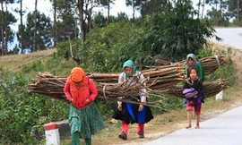 Tái nghèo tăng vì có nơi chính quyền quan liêu