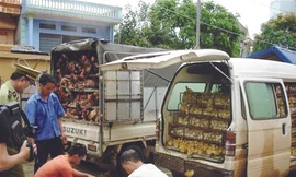 Thực phẩm bẩn ồ ạt nhập lậu