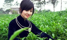 Hướng dẫn làm Hồ sơ dự thi Người đẹp xứ Trà