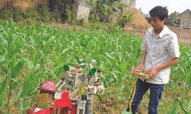 Hòa và rô - bốt nông dân