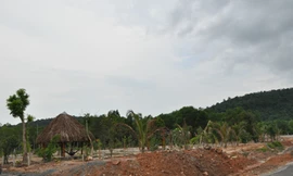 'Tùng xẻo' rừng Phú Quốc: Huyện 'đá bóng' lên tỉnh