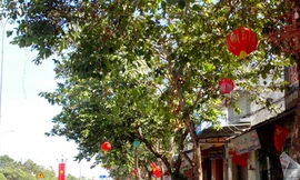 Vũng Tàu bỗng dưng có phố... Tàu!