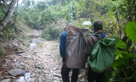 Gỗ sưa đã về các xã vùng đệm