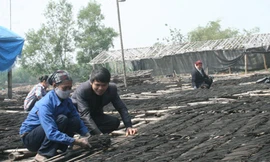 Khát vọng làm giàu của những ông chủ trẻ