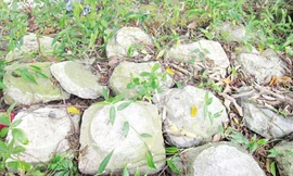 Cả làng 'sợ' một phiến đá