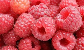 Thêm loại 'Viagra' cho quý ông