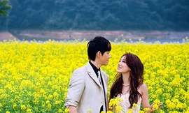 Tỏ tình mùa hoa cải