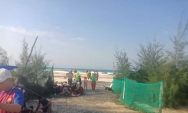 Hai cựu sinh viên Đại học Hoa Sen mất tích khi tắm biển Hòn Gầm