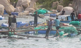 Khánh Hòa yêu cầu ứng cứu hai người dân mắc kẹt trên biển trước giờ bão số 6 đổ bộ