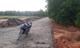 Dân tự ý làm đường nhựa trên đất nông nghiệp để phân lô bán nền ở Phan Thiết