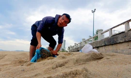 Dân Nha Trang ra biển xúc cát về chống bão