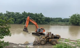 Bất chấp lệnh cấm, ngang nhiên múc cát sỏi giữa sông Dinh