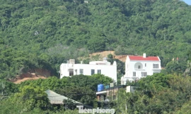Nha Trang dừng thi công khu biệt thự trên núi Cô Tiên