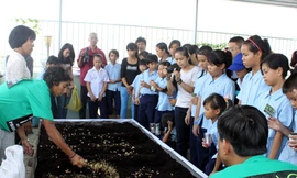 Làm vườn trên... mái nhà