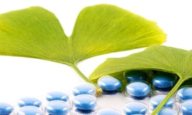 Những ai không nên dùng thuốc có chứa ginkgo biloba?