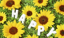 Chàng trai đi xuyên lục địa tìm hạnh phúc