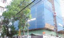 Ngột ngạt vì 'đua' chiều cao, tăng mật độ