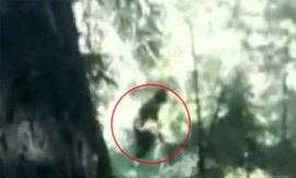 'Người rừng khổng lồ' gây tranh cãi trên YouTube