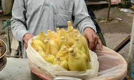 Nỗi tuyệt vọng của xóm bắp ngô sau tin luộc bằng pin