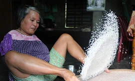 Người phụ nữ sàng gạo bằng chân để kiếm sống