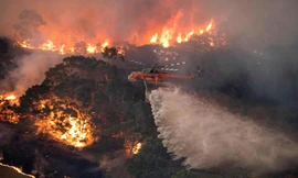 Vụ cháy nào kinh hoàng nhất trong lịch sử nhân loại?