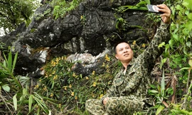 Anh Cảnh coi đây là chuyến đi "cả đời có một" vì chụp được quần thể loài lớn nhất từng gặp; chụp được cá thể hoa đôi khá hiếm và quần thể đột biến của loài hài Helen, trong chuyến đi hồi tháng 10/2020. Ảnh: Nhân vật cung cấp.