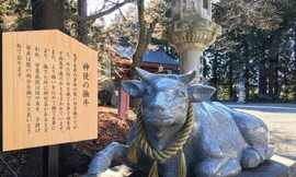 Tượng trâu nằm trong khuôn viên của đền Fuji Omuro Sengen ở tỉnh Yamanashi, Nhật Bản - Ảnh: Japan Times