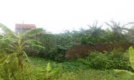 Những mảnh đất được “cò” quảng cáo sẽ nằm cạnh trục tây Thăng Long với giá 30-40 triệu đồng/m2