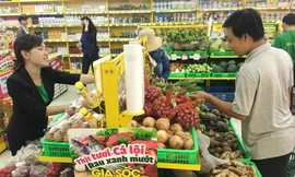 Thuế tài sản làm giảm thu nhập và giảm chi tiêu hộ gia đình 