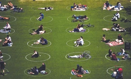 Chuyến xe đón năm mới