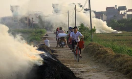  Ðưa chỉ tiêu không đốt rơm vào tiêu chí nông thôn mới