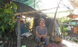 Lên bờ tìm kế sinh nhai khi biển không còn là chỗ dựa 