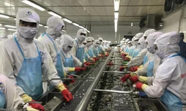 Khoảng 50% dòng thuế của thủy sản sẽ về 0% khi hiệp định EVFTA có hiệu lực