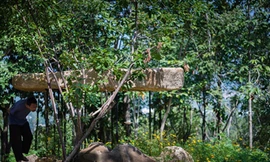 KTS Nguyễn Hòa Hiệp với chùa Đá. Ảnh: A21 Studio