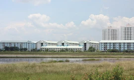 TP.HCM: Lạc quan phân khúc đất nền, căn hộ bình dân