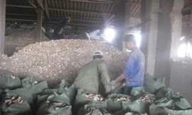 Nhà máy dầu thực vật gây ô nhiễm