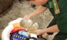 Tang vật thu được chỉ là mẻ sành cổ vật